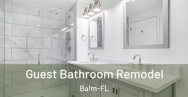 inner Bathroom imggen Guest Bathroom Remodel Balm-FL