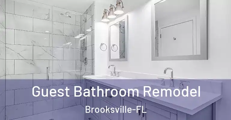 inner Bathroom imggen Guest Bathroom Remodel Brooksville-FL