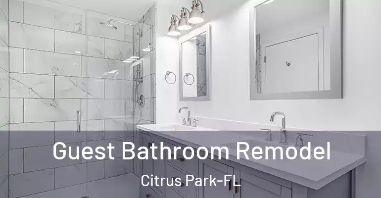 inner Bathroom imggen Guest Bathroom Remodel Citrus Park-FL