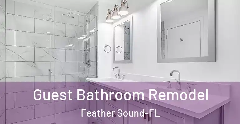 inner Bathroom imggen Guest Bathroom Remodel Feather Sound-FL