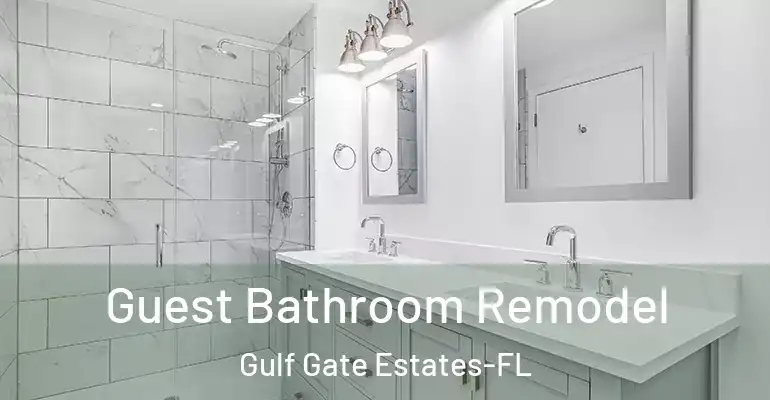 inner Bathroom imggen Guest Bathroom Remodel Gulf Gate Estates-FL
