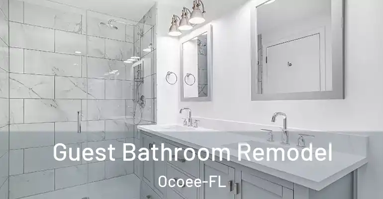 inner Bathroom imggen Guest Bathroom Remodel Ocoee-FL