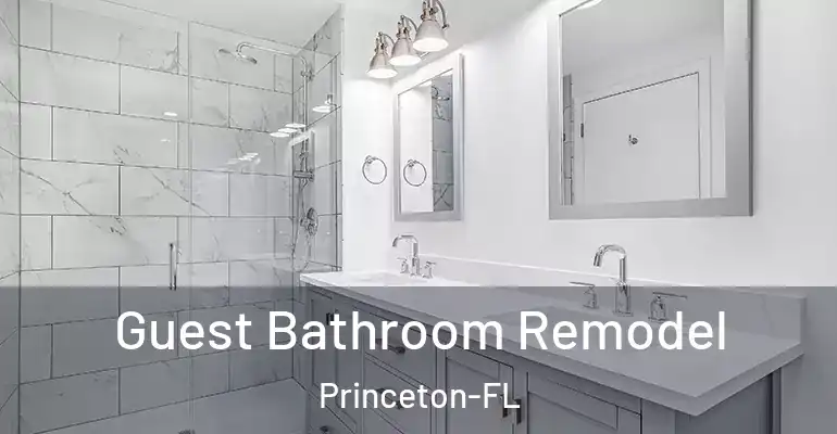 inner Bathroom imggen Guest Bathroom Remodel Princeton-FL
