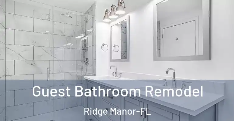 inner Bathroom imggen Guest Bathroom Remodel Ridge Manor-FL