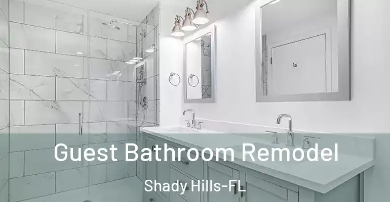 inner Bathroom imggen Guest Bathroom Remodel Shady Hills-FL