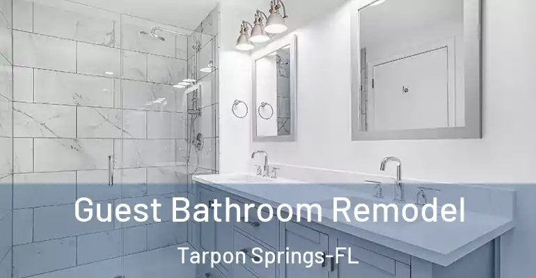 inner Bathroom imggen Guest Bathroom Remodel Tarpon Springs-FL