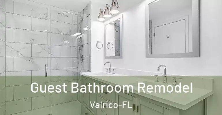 inner Bathroom imggen Guest Bathroom Remodel Valrico-FL