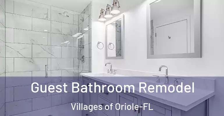 inner Bathroom imggen Guest Bathroom Remodel Villages of Oriole-FL