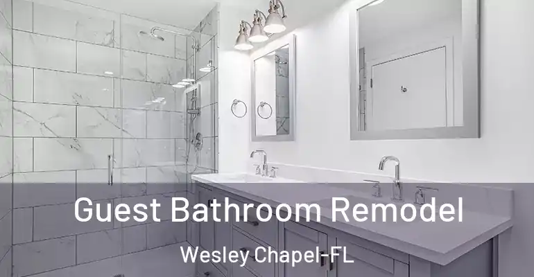 inner Bathroom imggen Guest Bathroom Remodel Wesley Chapel-FL