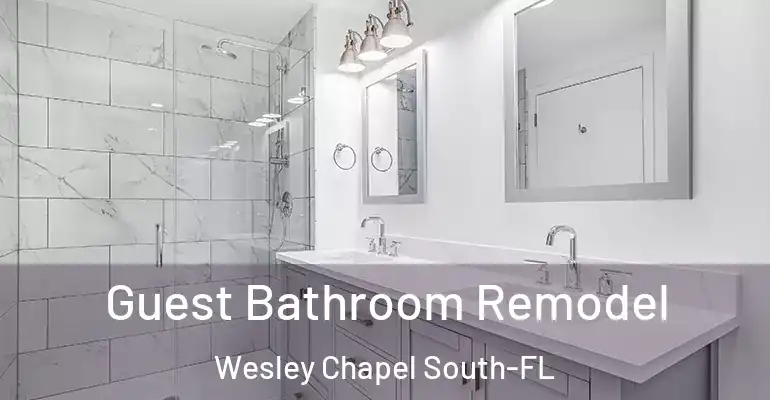 inner Bathroom imggen Guest Bathroom Remodel Wesley Chapel South-FL