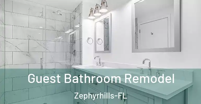 inner Bathroom imggen Guest Bathroom Remodel Zephyrhills-FL