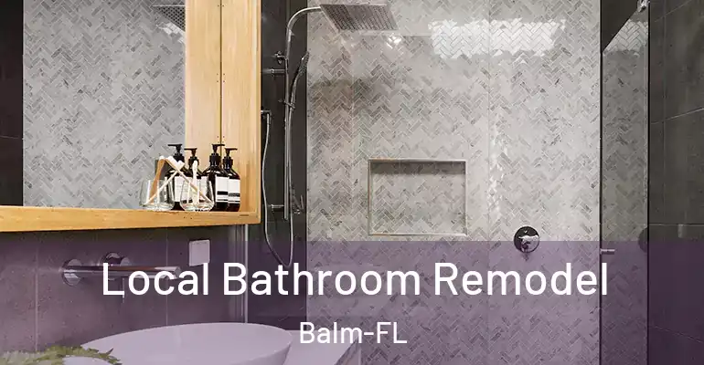 inner Bathroom imggen Local Bathroom Remodel Balm-FL