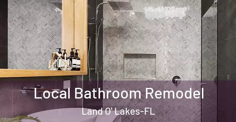 inner Bathroom imggen Local Bathroom Remodel Land O' Lakes-FL