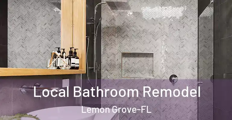 inner Bathroom imggen Local Bathroom Remodel Lemon Grove-FL