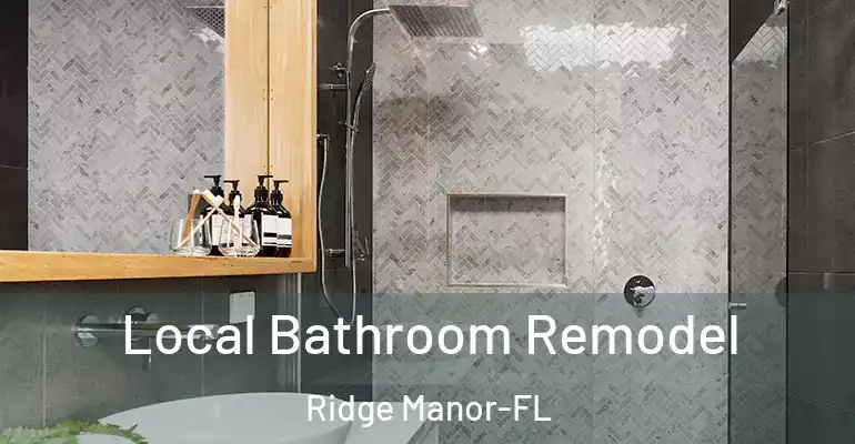 inner Bathroom imggen Local Bathroom Remodel Ridge Manor-FL