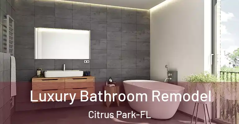 inner Bathroom imggen Luxury Bathroom Remodel Citrus Park-FL
