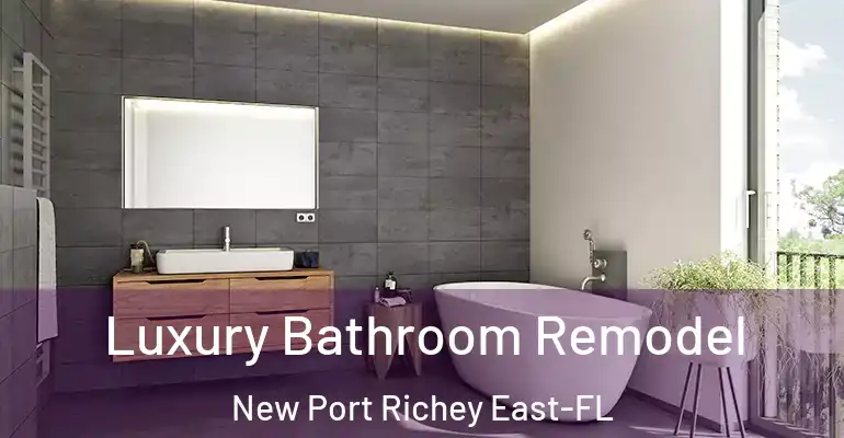 inner Bathroom imggen Luxury Bathroom Remodel New Port Richey East-FL