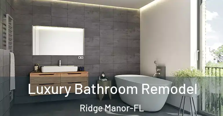 inner Bathroom imggen Luxury Bathroom Remodel Ridge Manor-FL