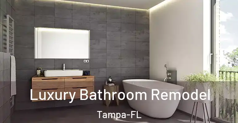 inner Bathroom imggen Luxury Bathroom Remodel Tampa-FL