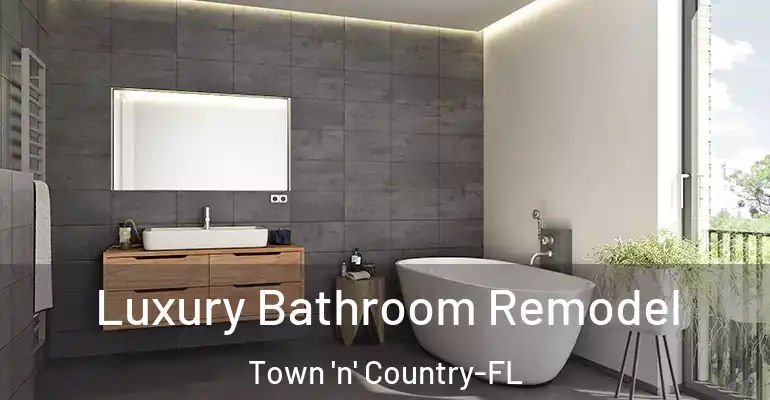 inner Bathroom imggen Luxury Bathroom Remodel Town 'n' Country-FL