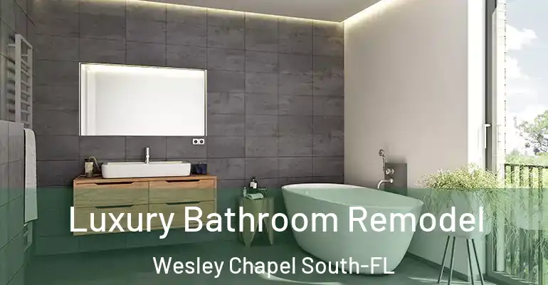 inner Bathroom imggen Luxury Bathroom Remodel Wesley Chapel South-FL
