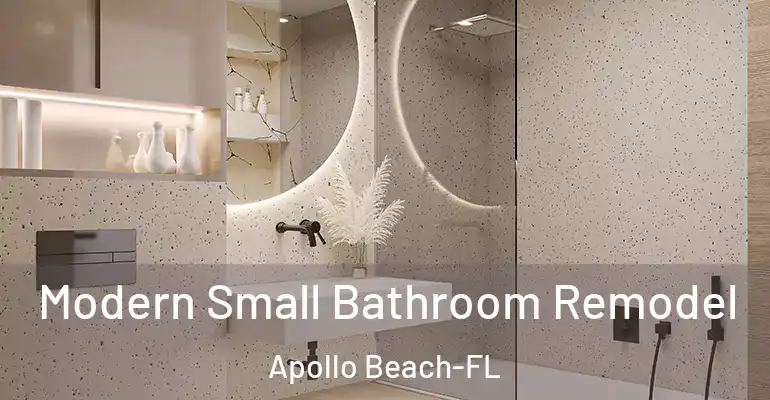 inner Bathroom imggen Modern Small Bathroom Remodel Apollo Beach-FL