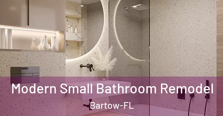 inner Bathroom imggen Modern Small Bathroom Remodel Bartow-FL
