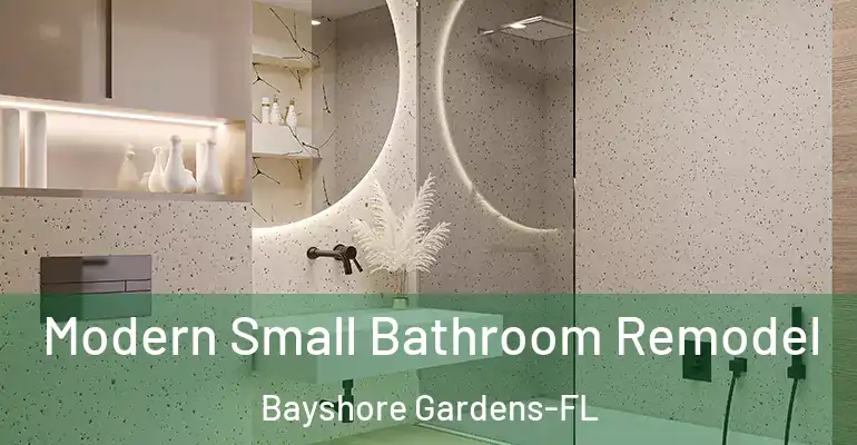 inner Bathroom imggen Modern Small Bathroom Remodel Bayshore Gardens-FL