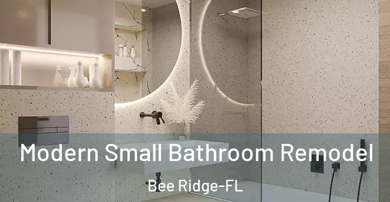 inner Bathroom imggen Modern Small Bathroom Remodel Bee Ridge-FL