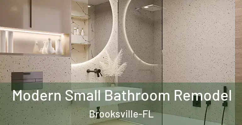 inner Bathroom imggen Modern Small Bathroom Remodel Brooksville-FL