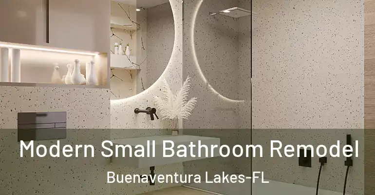 inner Bathroom imggen Modern Small Bathroom Remodel Buenaventura Lakes-FL