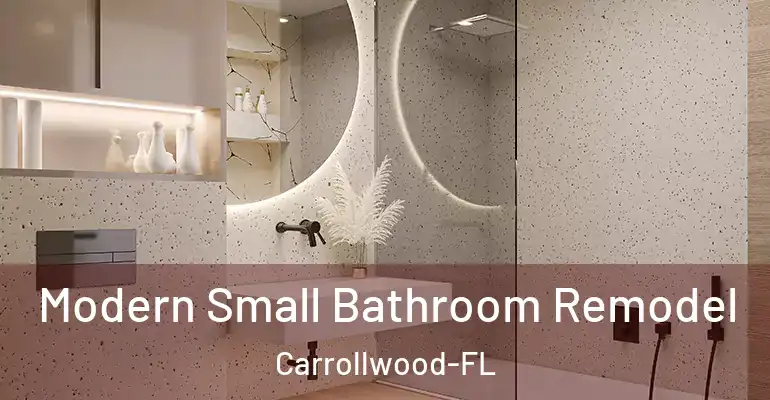 inner Bathroom imggen Modern Small Bathroom Remodel Carrollwood-FL