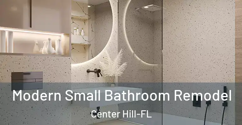 inner Bathroom imggen Modern Small Bathroom Remodel Center Hill-FL