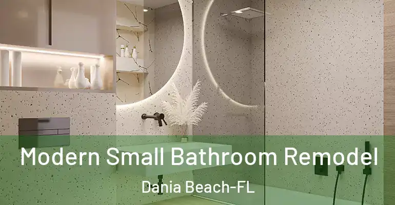 inner Bathroom imggen Modern Small Bathroom Remodel Dania Beach-FL