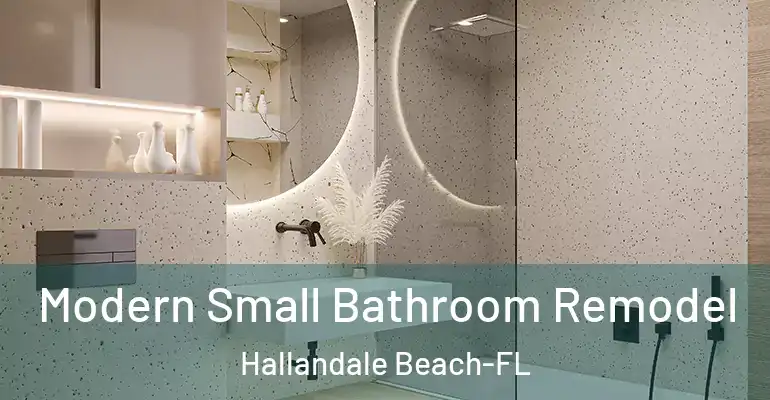 inner Bathroom imggen Modern Small Bathroom Remodel Hallandale Beach-FL