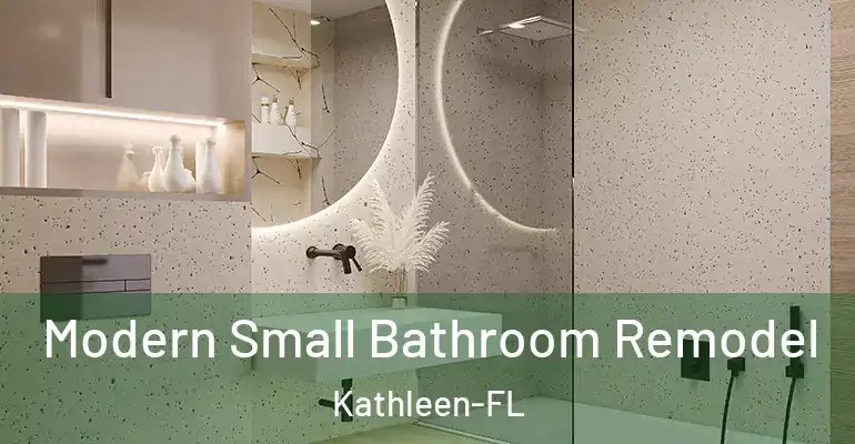 inner Bathroom imggen Modern Small Bathroom Remodel Kathleen-FL