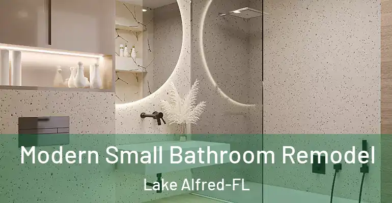 inner Bathroom imggen Modern Small Bathroom Remodel Lake Alfred-FL