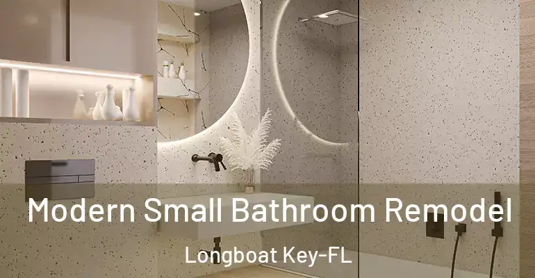 inner Bathroom imggen Modern Small Bathroom Remodel Longboat Key-FL