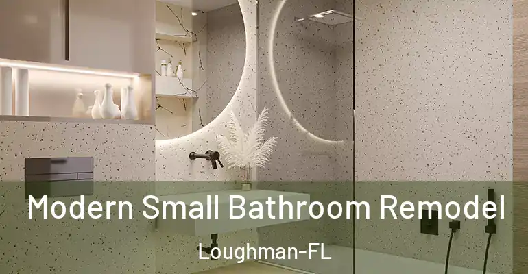 inner Bathroom imggen Modern Small Bathroom Remodel Loughman-FL