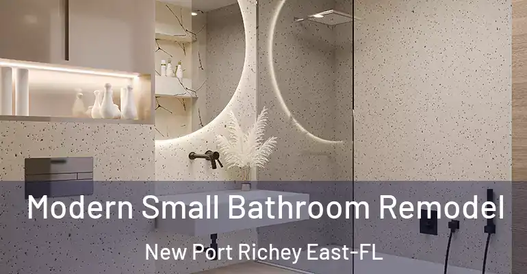 inner Bathroom imggen Modern Small Bathroom Remodel New Port Richey East-FL
