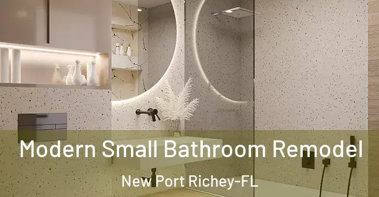 inner Bathroom imggen Modern Small Bathroom Remodel New Port Richey-FL