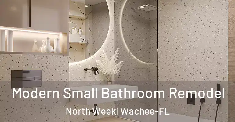 inner Bathroom imggen Modern Small Bathroom Remodel North Weeki Wachee-FL