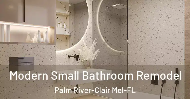 inner Bathroom imggen Modern Small Bathroom Remodel Palm River-Clair Mel-FL