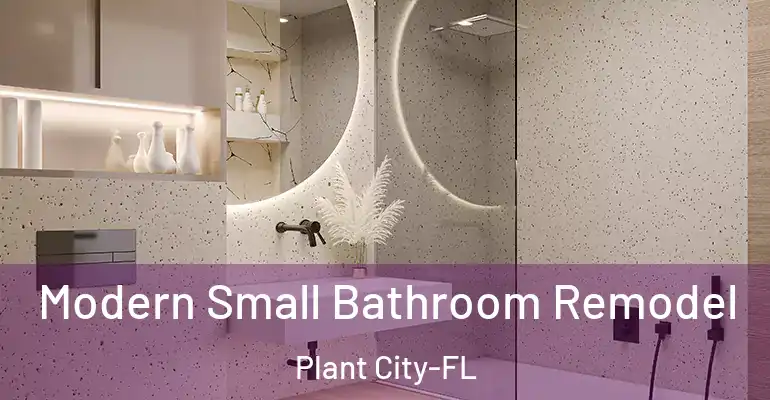 inner Bathroom imggen Modern Small Bathroom Remodel Plant City-FL
