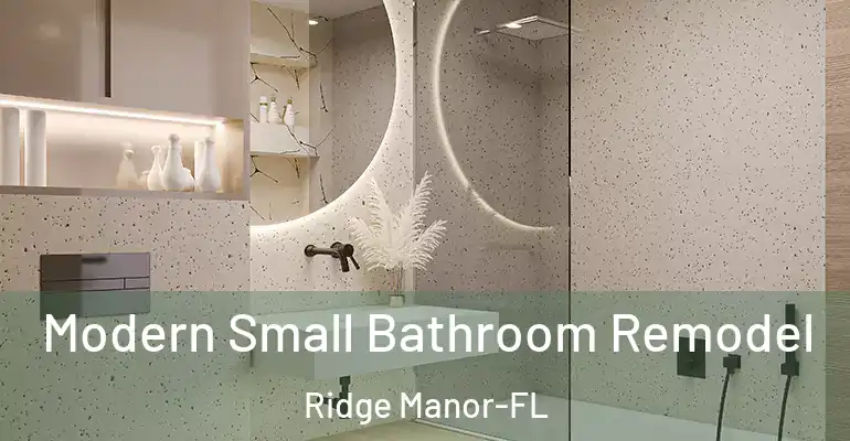 inner Bathroom imggen Modern Small Bathroom Remodel Ridge Manor-FL