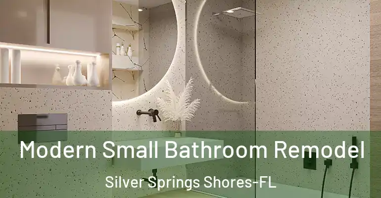 inner Bathroom imggen Modern Small Bathroom Remodel Silver Springs Shores-FL