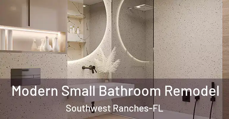 inner Bathroom imggen Modern Small Bathroom Remodel Southwest Ranches-FL
