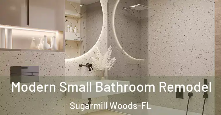 inner Bathroom imggen Modern Small Bathroom Remodel Sugarmill Woods-FL
