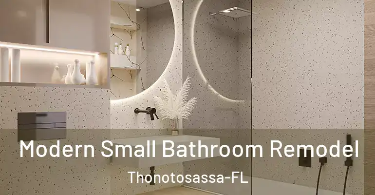 inner Bathroom imggen Modern Small Bathroom Remodel Thonotosassa-FL