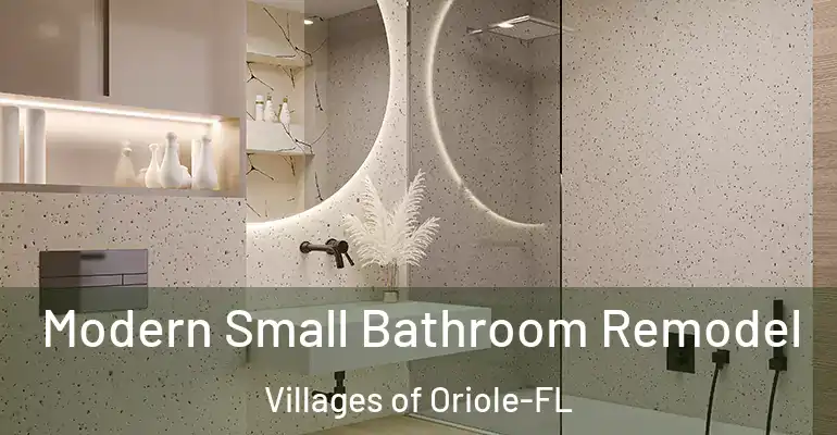 inner Bathroom imggen Modern Small Bathroom Remodel Villages of Oriole-FL